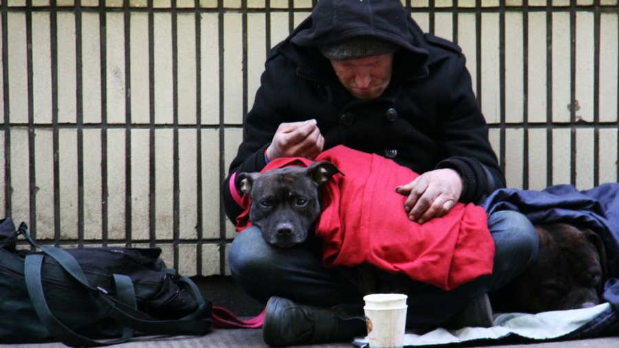 Unhoused person with their dog