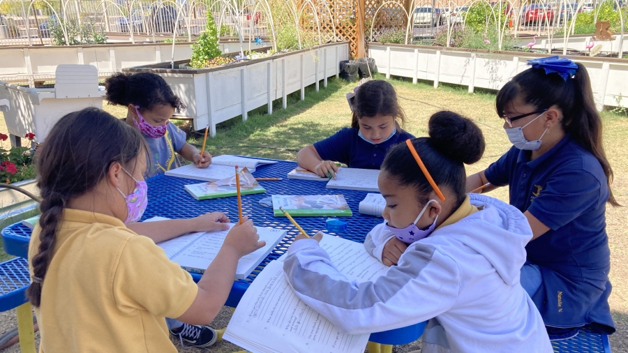 Paideia Academy students work on classwork in the new school garden