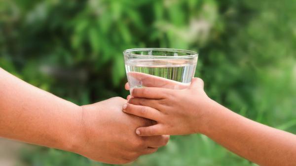 Woman hands to drink water with children hands green leaf background