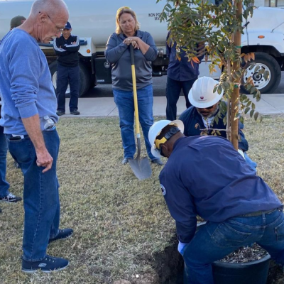 Volunteers plant trees in the 19North neighborhood