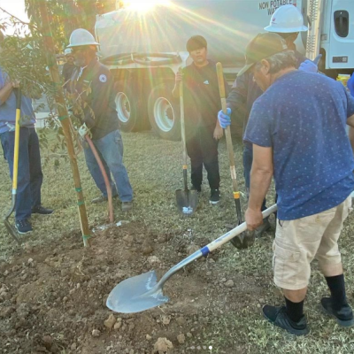 Volunteers plant trees in the 19 North neighborhood