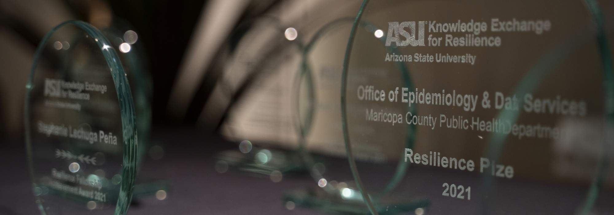 Resilience Prize