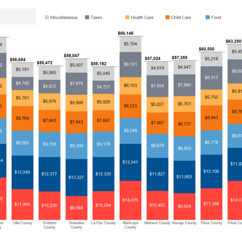 HEIGHT poverty dashboard chart showing household expenditures by county