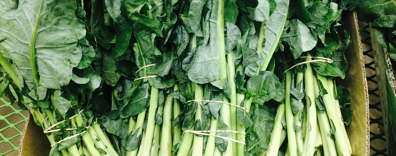 Improving community garden longevity