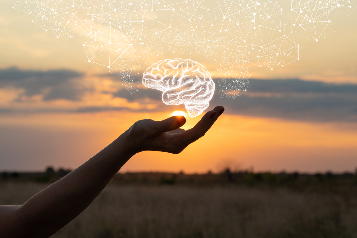 Maps and guides: improving navigation of the Maricopa mental health system
