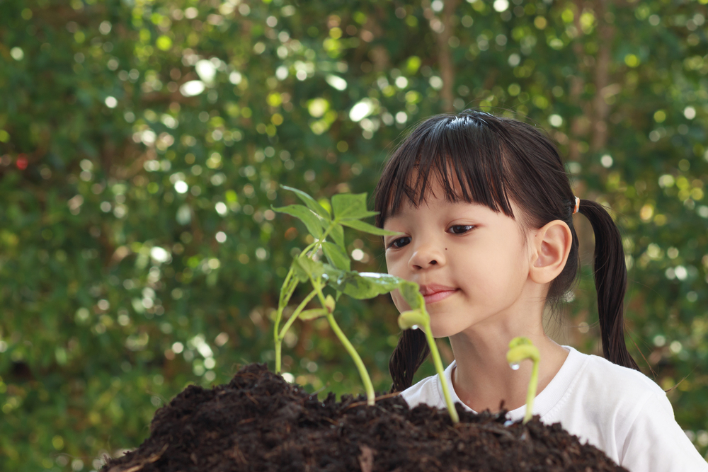 Understanding barriers urban residents face to growing their own food