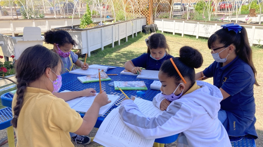 Paideia Academy students work on classwork in the new school garden
