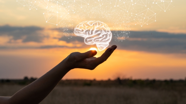 Brain and hand
