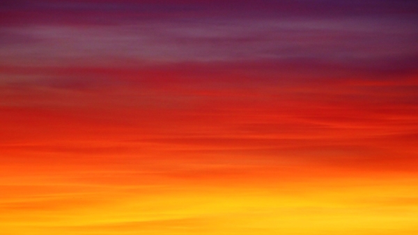 Warm colors