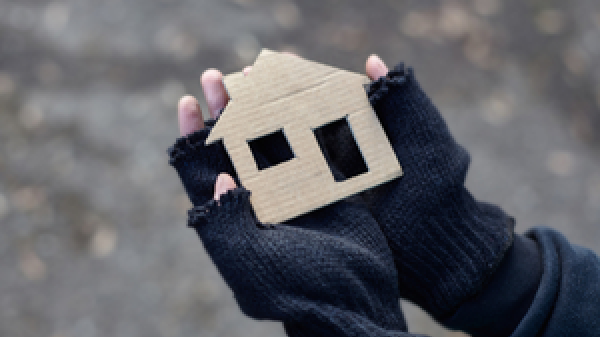a person holding a house cutout