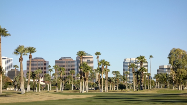 A green photo of Phoenix 