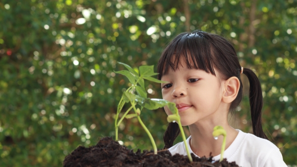 Little girl inspecting seedlings