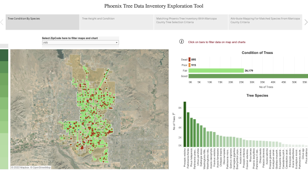 Screenshot of pilot dashboard tool