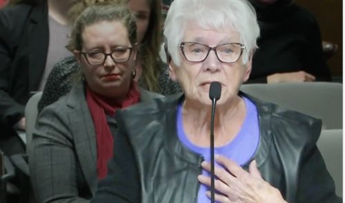 Former AAMHO President Pat Schoneck testifies before the Arizona State House of Commerce Committee as KER Executive Director Patricia Solís waits to be called as an expert witness.